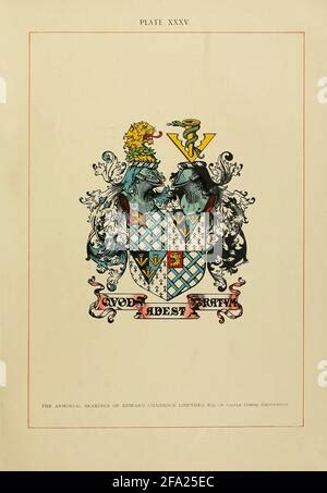 Eine vollständige anleitung zur heraldik von arthur charles fox davies. - Maserati quattroporte iv 4 1994 2001 werkstatt service handbuch.