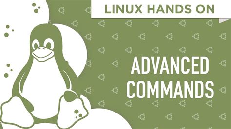 Einführung in linux a hands on guide. - The last chapter by knut hamsun.