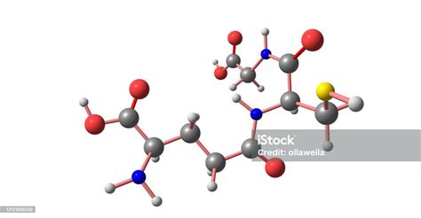 Einfluß von Ammonium und Sulfat auf die Glutathion-Produktion …