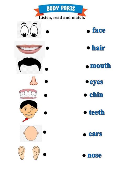 Ejercicio online de Parts of the face para Grade 1