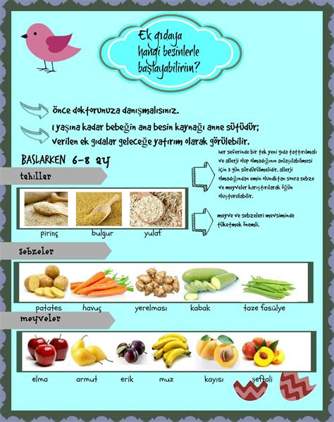 Ek gıdaya geçiş listesi pdf