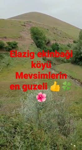 Ekinbagi Halı ve Koltuk Yıkama