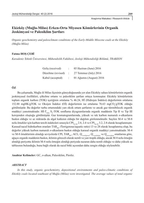 Ekizkoy Halı ve Koltuk Yıkama