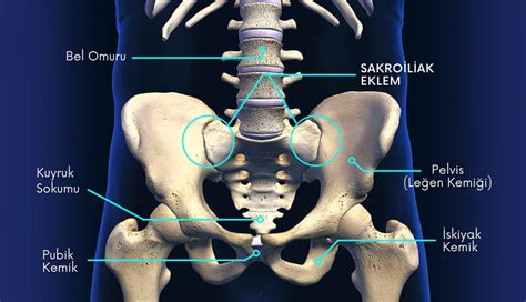 Eklem Halı ve Koltuk Yıkama