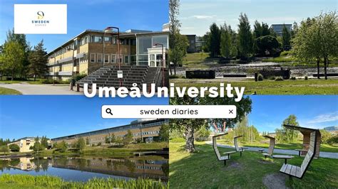 Ekonomienheten - Ume&aring; universitet