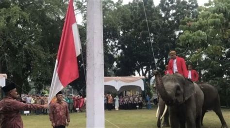 Ekor gajah berguna untuk. .  <a href=https://prof.roskapstroy.ru:443/dafio7f/tunsil-funeral-ho...