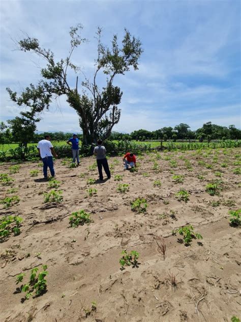 El Abordaje comunitario y algunas las claves de desarrollo - LinkedIn