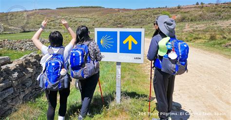 El Camino - The Way of St. James - Spain - 206 Tours