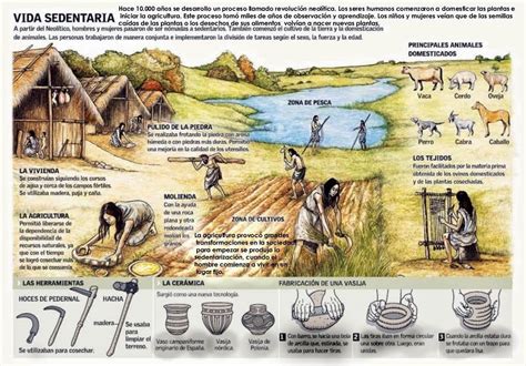 El Neolítico. Una de las etapas más determinantes de la …