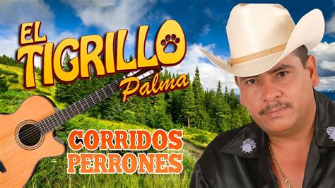 El Tigrillo Palma &ndash; Los Chiquinarcos Lyrics - Genius