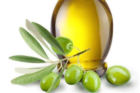 El aceite de oliva, alma del mediterráneo. - Charles darwin in cambridge the most joyful years.