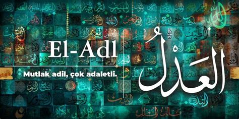 veodersti.rgarabwor.edu.pl. 