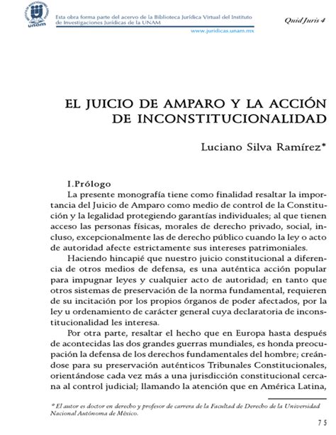 El amparo y la inconstitucionalidad en el derecho paraguayo. - The shiis of jabal amil and the new lebanon community and nation state 1918 1943.
