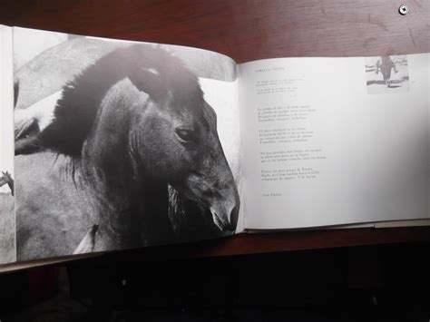 El caballo en la poesía venezolana. - Beyond fear a toltec guide to freedom and joy the.