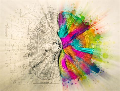El cerebro creador / the creative brain. - Guía de imagen de entrenamiento con mancuernas.