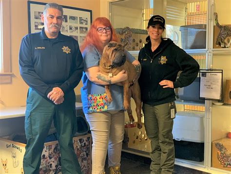 El dorado county animal shelter. A group for our trained shelter volunteers & foster families! Communicate about volunteering, events, special projects around the shelter, Animals in need of … 
