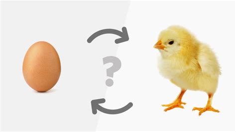 El huevo o la gallina? (the chicken or the egg?). - Yamaha xs 1100 special service manual.