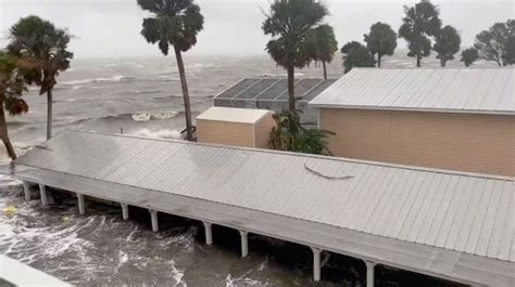 El huracán Idalia trajo flamencos a Florida, el este de EE.UU. e incluso Ohio. Los científicos esperan que se queden