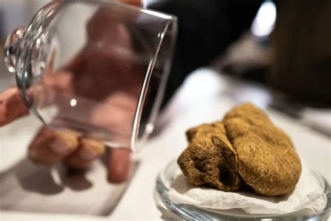 El lado mortal de las preciadas trufas blancas de Italia que se venden en restaurantes elegantes