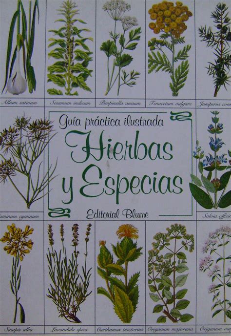 El libro completo de hierbas y especias, una guía ilustrada para cultivar y usar cosméticos y aromáticos culinarios. - Tout le long du chemin .... [par] madeleine..