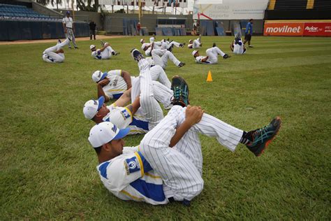 El manual de entrenamiento de beisbol edición little league to high school. - Sociología de una élite de poder de españa e hispanoamérica contemporáneas.