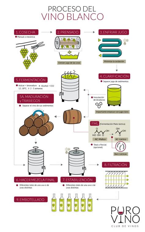 El manual del vino spanische ausgabe. - Earth science answer key study guide.
