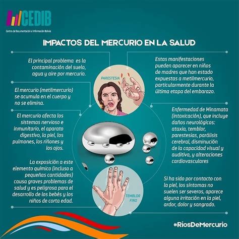 El mercurio y la salud - WHO