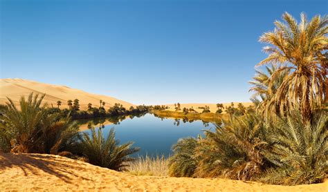 El oasis. El oasis y el riego. En el nordeste del desierto del Sahara argelino existe el concepto de ghout, una clase de oasis en la cual las aguas que pasan por debajo de la tierra se usan para el riego de las palmeras datileras en un espacio que cuenta con acuíferos poco profundos. Este sistema de cultivo requiere la excavación de una cavidad en el suelo … 