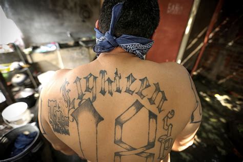 El Salvador's dominant street gangs formed in Los An
