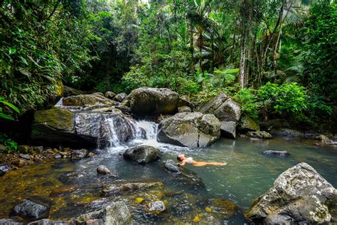 El yunque tours. The forest is available every day (except for Christmas) from 7:30 a.m. to 5:00 p.m. El Portal Visitor Center is open from 9:00 a.m. to 5:00 p.m. While the forest has no entrance fee, admission to some of the optional attractions will cost $8 for adults, with children under 15 years entering for free. 