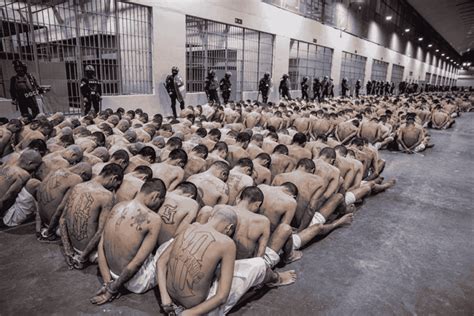 💦 El.Perigo Onlyfans Leaked (SEX) 113 Pics