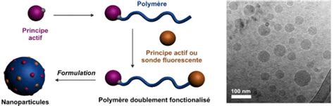 Elaboration d’une matrice à libération contrôlée à base de polymères