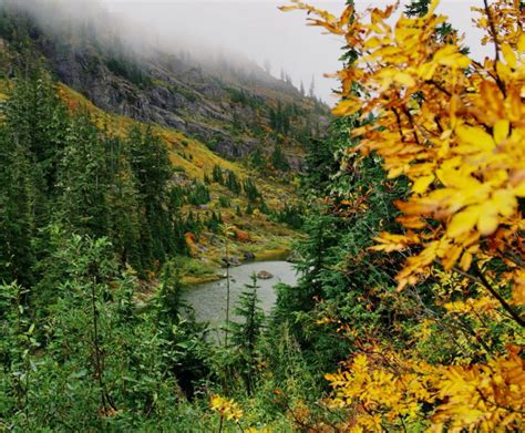 🍌 Elara Elias Leaked [CLIP] 221 Pics