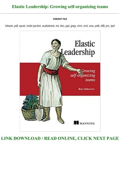 Elastic Leadership For Software Teams
