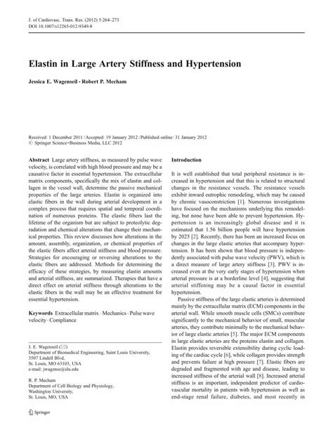 Elastin in large artery stiffness and hypertension - PMC