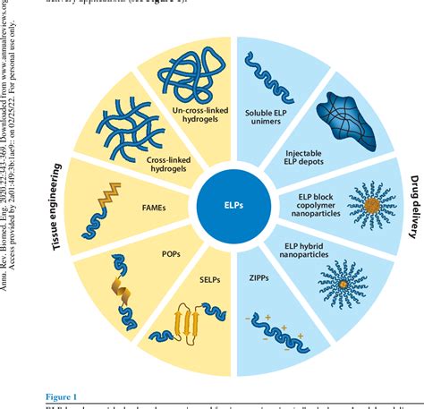 Elastin-Like Polypeptides for Biomedical Applications