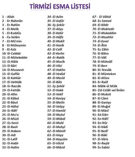 Elaya Isminin Anlami.