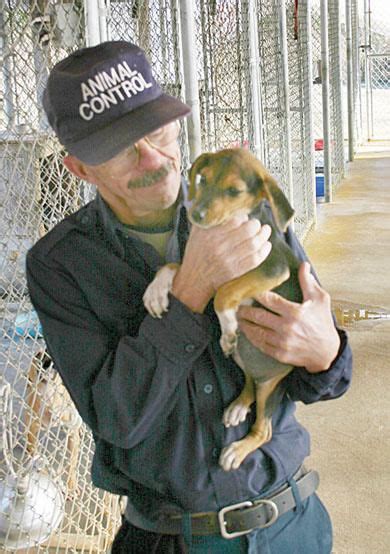 Elba animal shelter. Taxpayers are spending millions of dollars each month to further Trump's cruel immigration policy. The full costs of the Trump administration’s “zero tolerance” immigration policy ... 