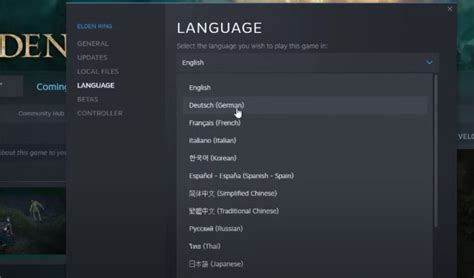 Elden Ring How to Change Language