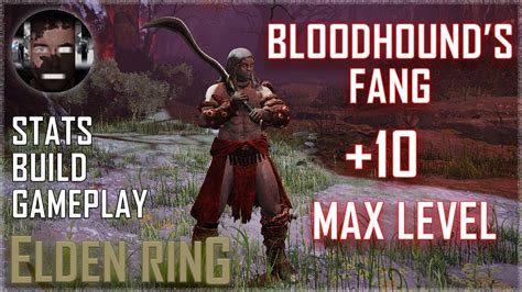 Elden ring bloodhound fang build. In this Elden Ring Build Guide, we'll show you the Bloodhound's Fang build as well as best Elden Ring runes. This is an NG+ build that takes place after level 150. If you've been looking for a Dex build that focuses on the Bloodhound's Fang curved greatsword and its weapon skill Bloodhound's Finesse, then you might want to check this build-out. 