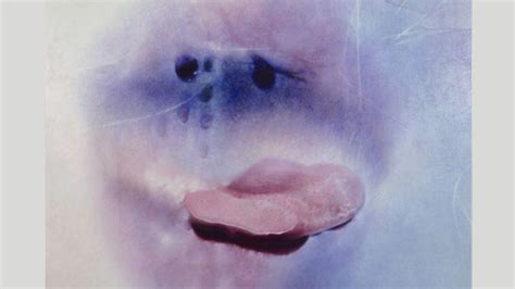 Elder Sex: Marilyn Minter’s steamy new photo book spotlights …