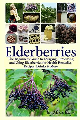 Full Download Elderberries The Beginners Guide To Foraging Preserving And Using Elderberries For Health Remedies Recipes Drinks And More By Alicia Bayer