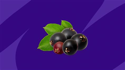 Elderberry and hsv1. .  <a href=https://clients.nadqa.nadsoft.co/d4c6p/in...