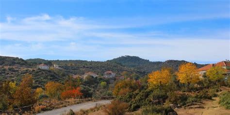 Elderesi Halı ve Koltuk Yıkama