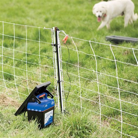 Electric fences for dogs. Electric fences can be used to keep out dogs, predators, deer, and other pests. Fencing animals out requires more wires, posts as well as a more powerful fence charger for higher voltage (5,000 volts minimum). Pest/predator fences must be checked constantly. 