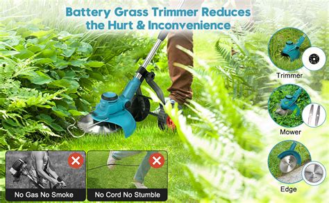 Electric strimmer stopped working.  Community Foundation Economic Development Blue Sk...