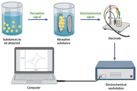 Electrochemical Sensor Analysis