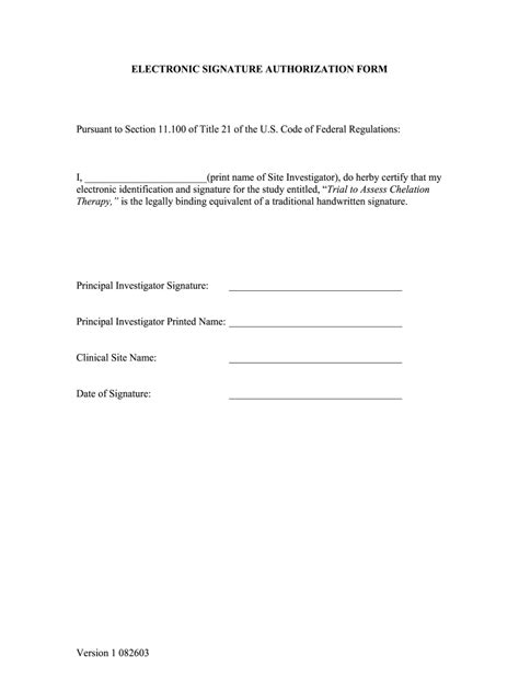 Electronic Signature Verification Statement Example Form Fill Out and