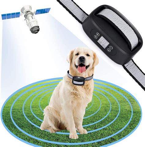 Electronic fence for dogs. 