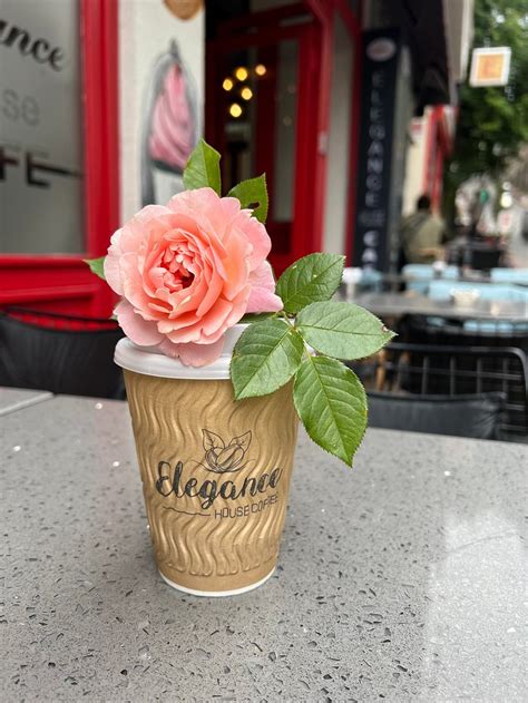 codini.rgarabwor.edu.pl. 